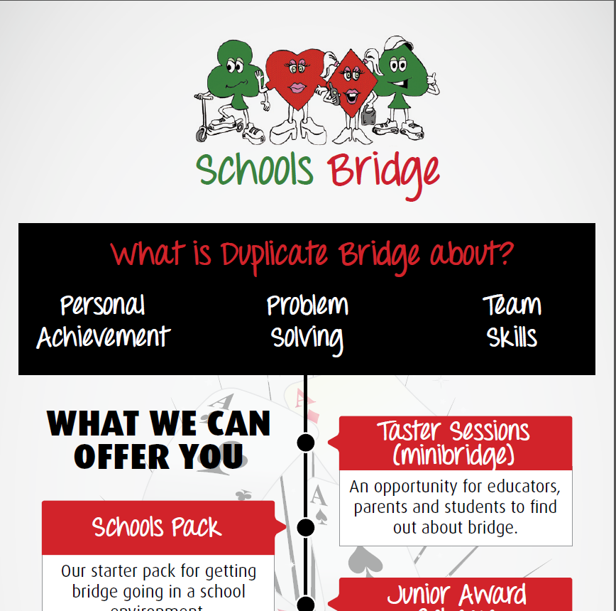 Bridge In Schools Image